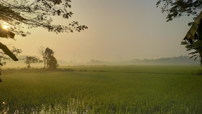 Guide to exploring Barishal on a budget