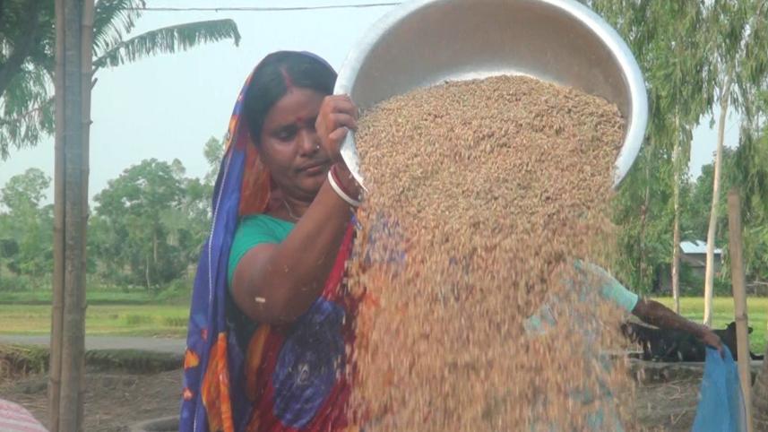 Rice prices