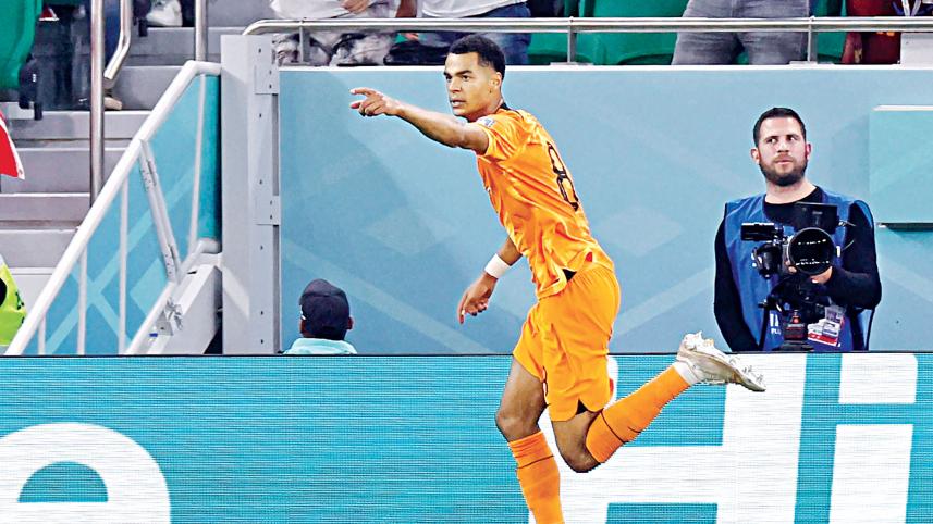 2022-world-cup-3.jpg