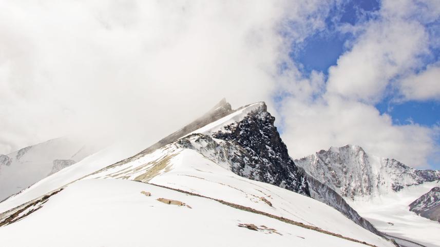 ladakh-diaries-1.jpg