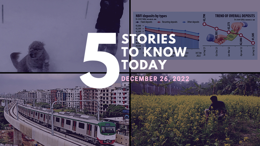 5_stories_collage.png
