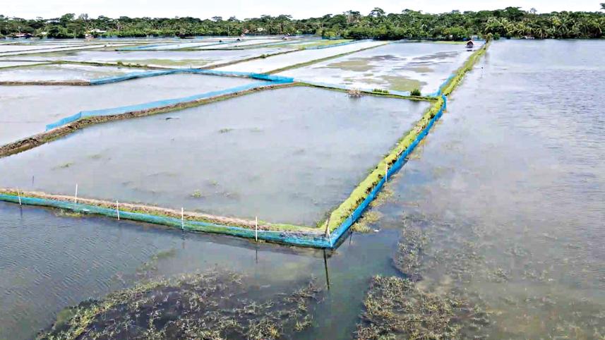 bagerhat.jpg