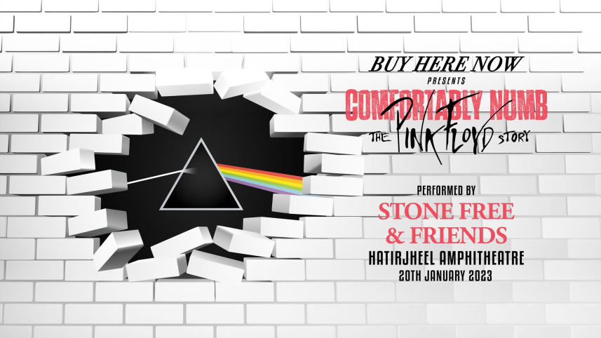 pink_floyd.png