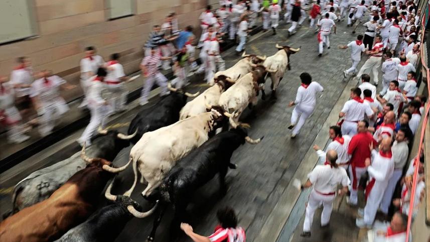 7 must-visit festivals happening in 2023