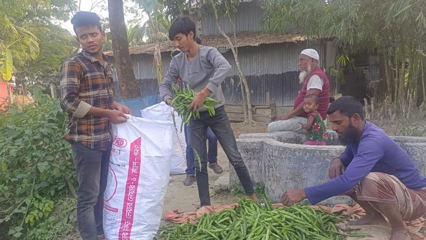 saline-land-coastal-village-barguna.jpg