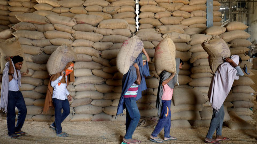 india-may-extend-wheat.jpg