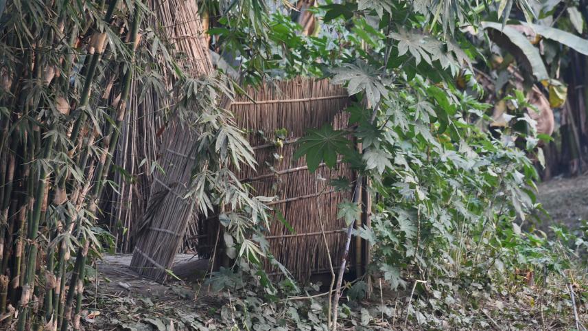 gaibandha1.jpg