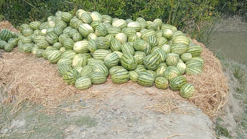 watermelon.jpg
