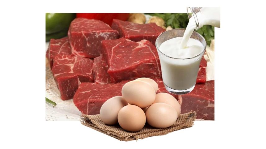 Livestock ministry to sell milk, egg, meat in Dhaka’s 20 places