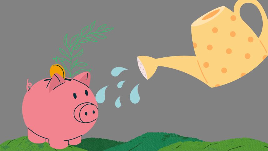 climate budget