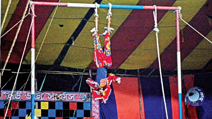 circus6.jpg