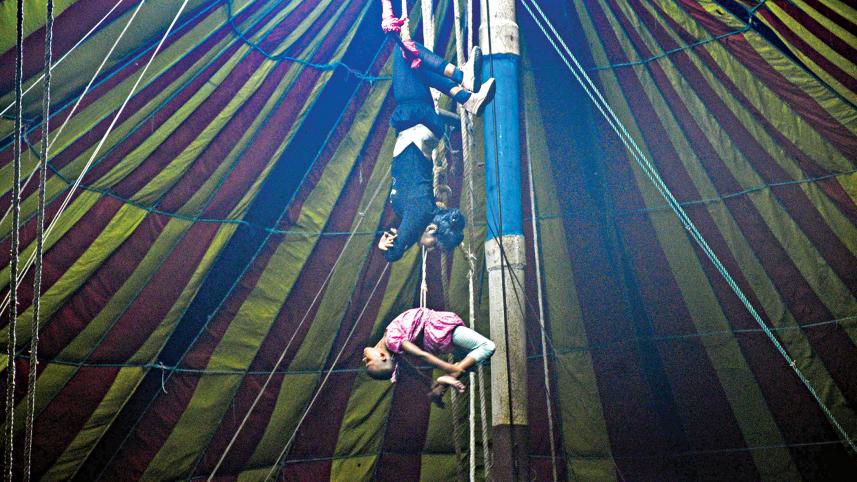 circus8.jpg