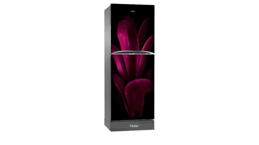Haier HRF-275EPMC
