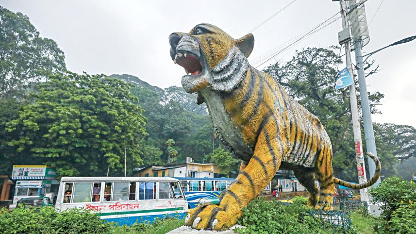 tigers-1.jpg