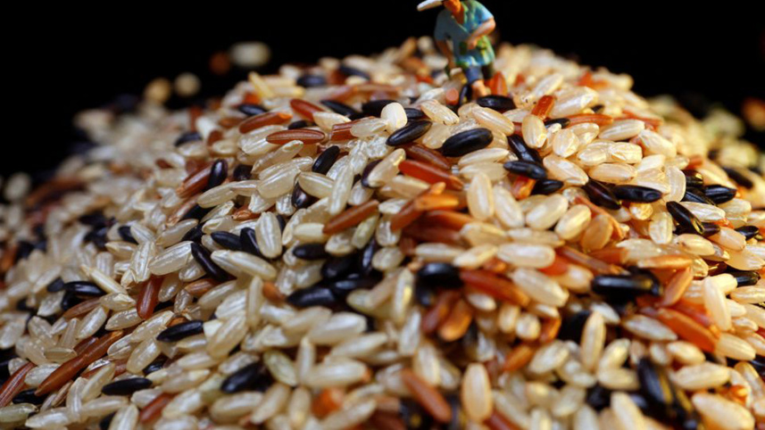 global-rice-prices.jpg