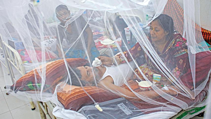 6 patients died of dengue fever