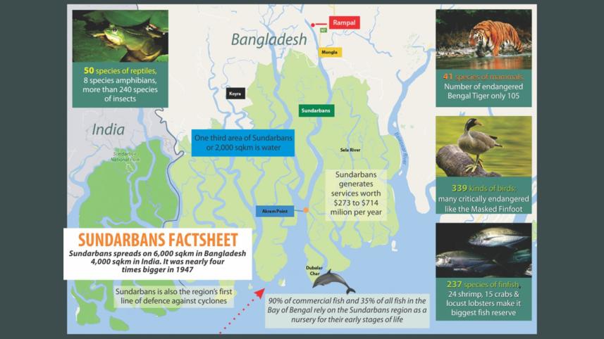 sundarbans.jpg