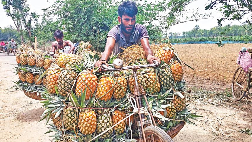pineapple7.jpg
