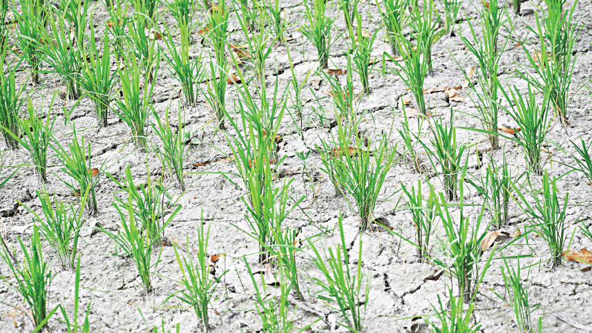 farm-mechanisation-2.gif