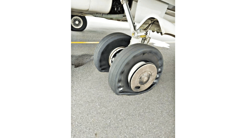bird-strikes-damaged-1.gif