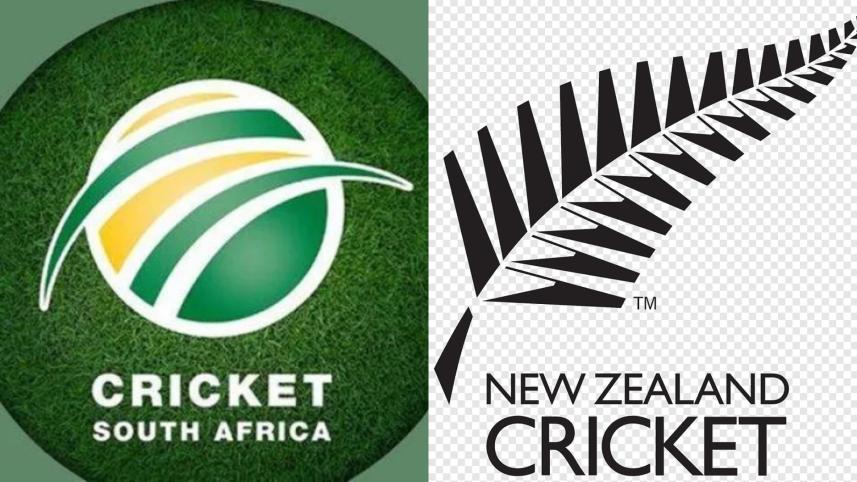 csa-nz.jpg