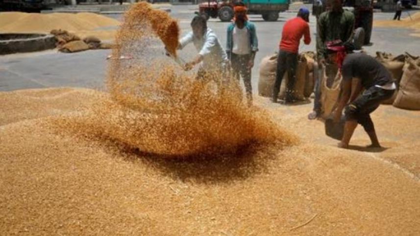 wheat.jpg