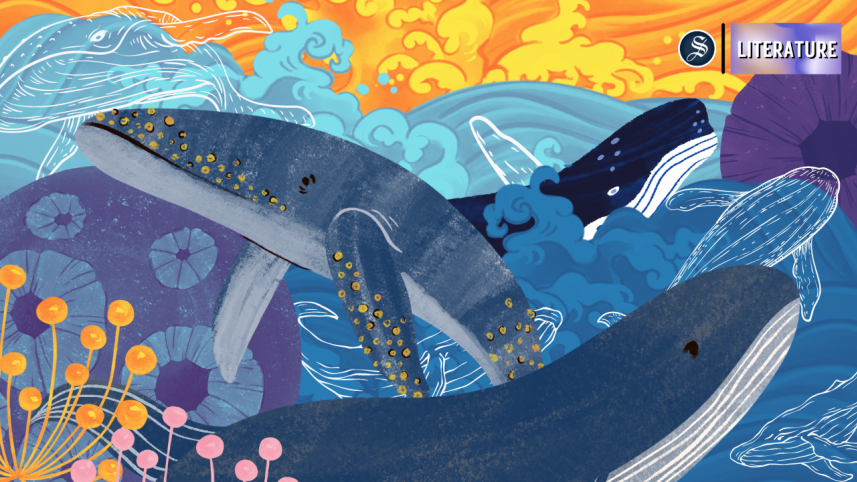 illustrations_8_1.png