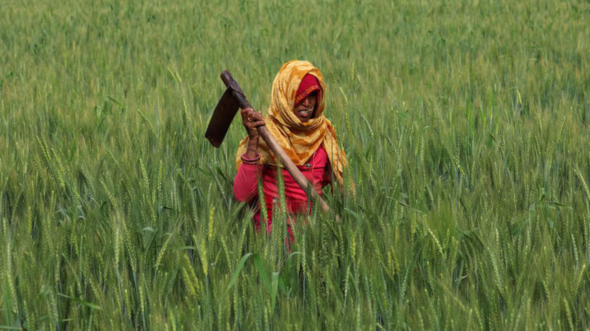 india-has-no-.jpg