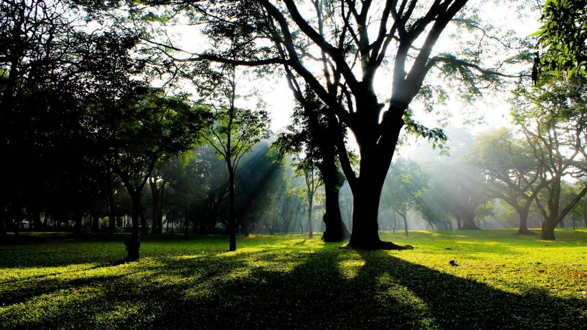 Cricket and culture: Discovering India's treasures beyond the World Cup 2023
