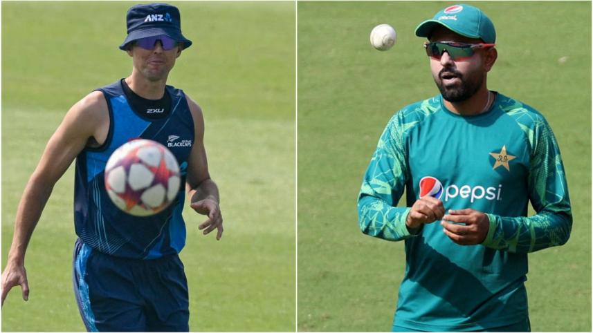 kiwi-pak.jpg