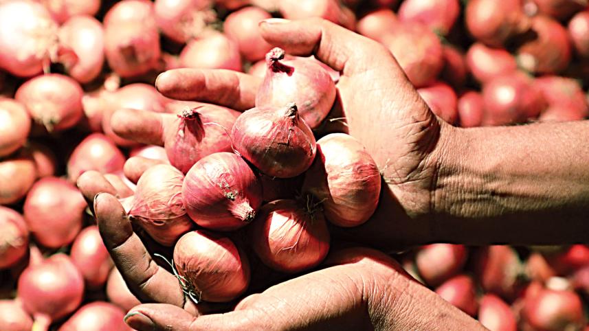 onion1.jpg