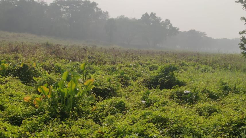 jayapara-lake-1.jpg