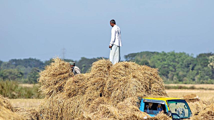 rangunia-upazila-6.jpg