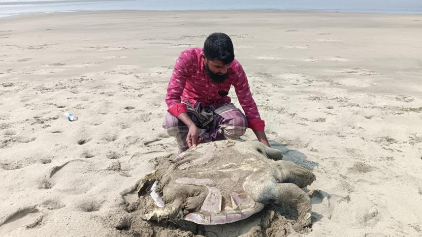 death-zone-for-marine-life-1.jpg