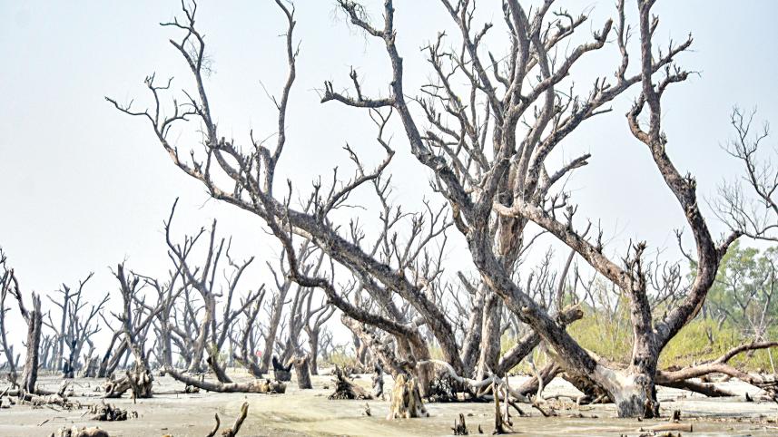 climate.jpg