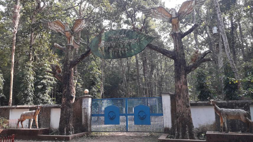 borshijora-ecopark.jpg