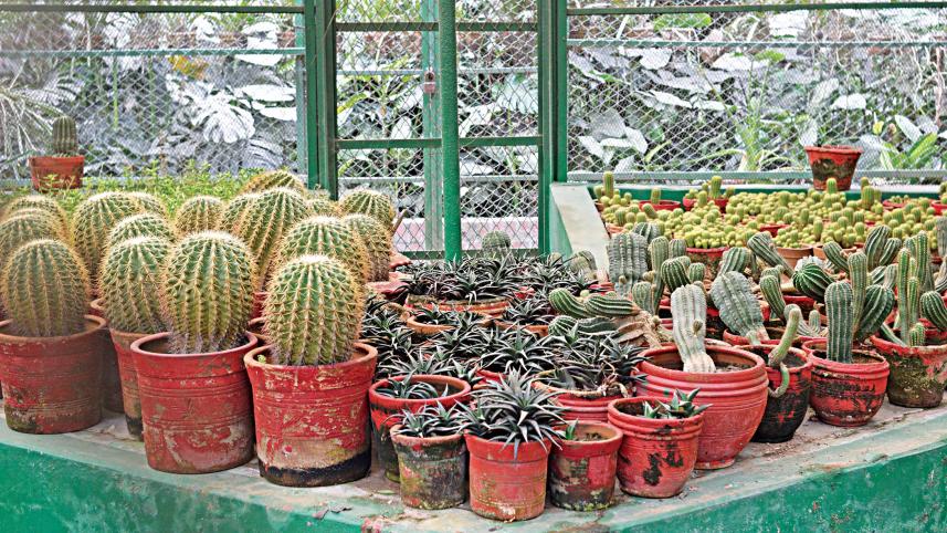baldah-garden3.jpg