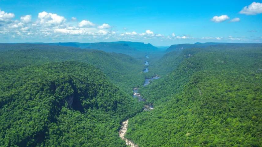 rainforest-gyana.jpg