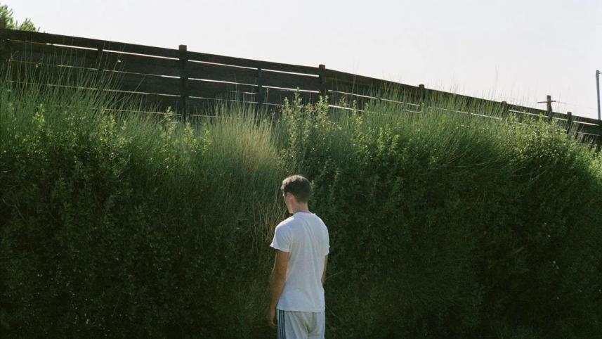 dogtooth3_0.jpg