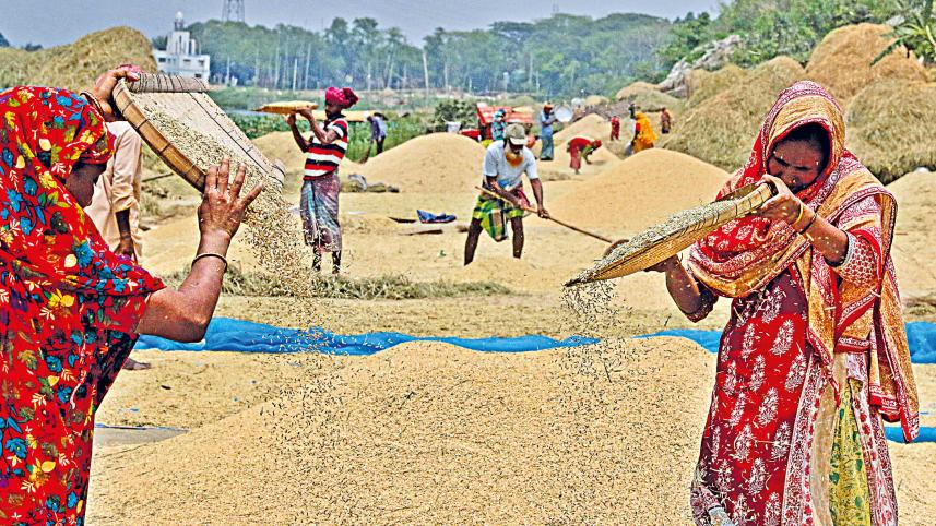 food-security-1.jpg