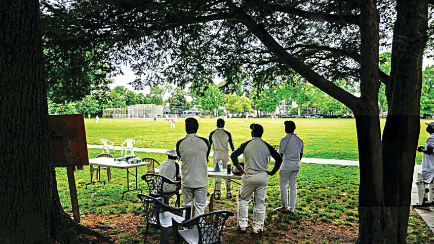 cricket-in-usa.jpg
