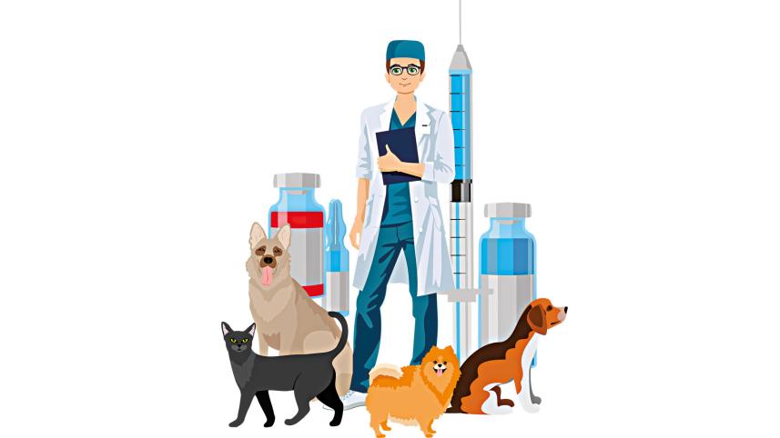 pet-care.jpg