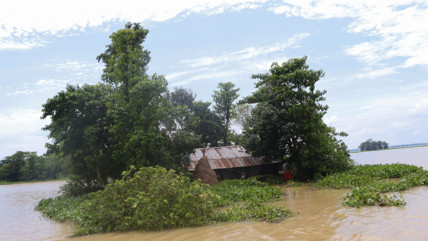 flood