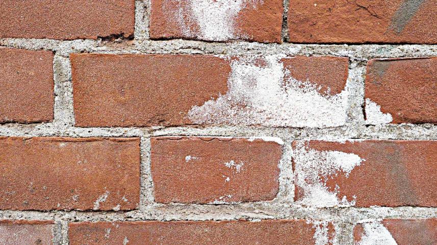 wall.jpg