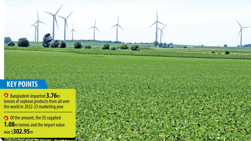 us-soybeans.jpg