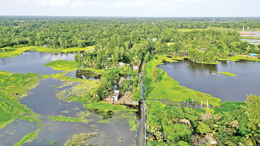 senbag-noakhali.jpg