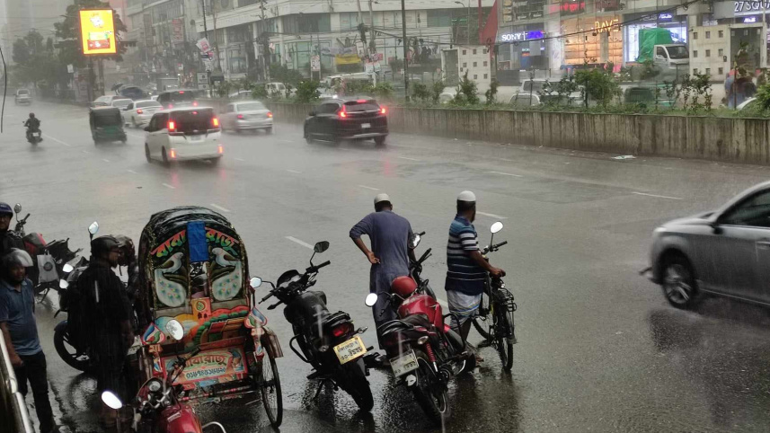 dmd_rain.jpg