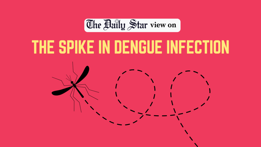 Spike in dengue infection