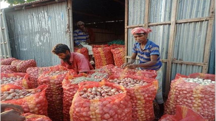 Onion