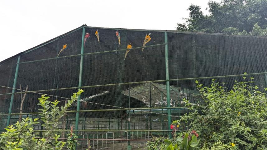 sarfari park